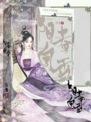 灌篮之狐狸流川列传